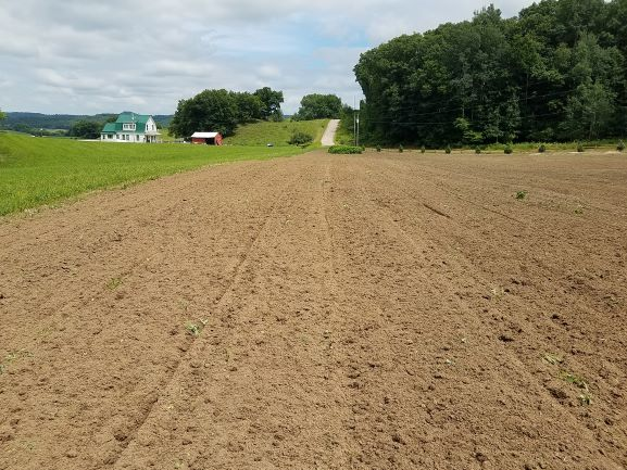 Why Did a Food Plot Fail?
