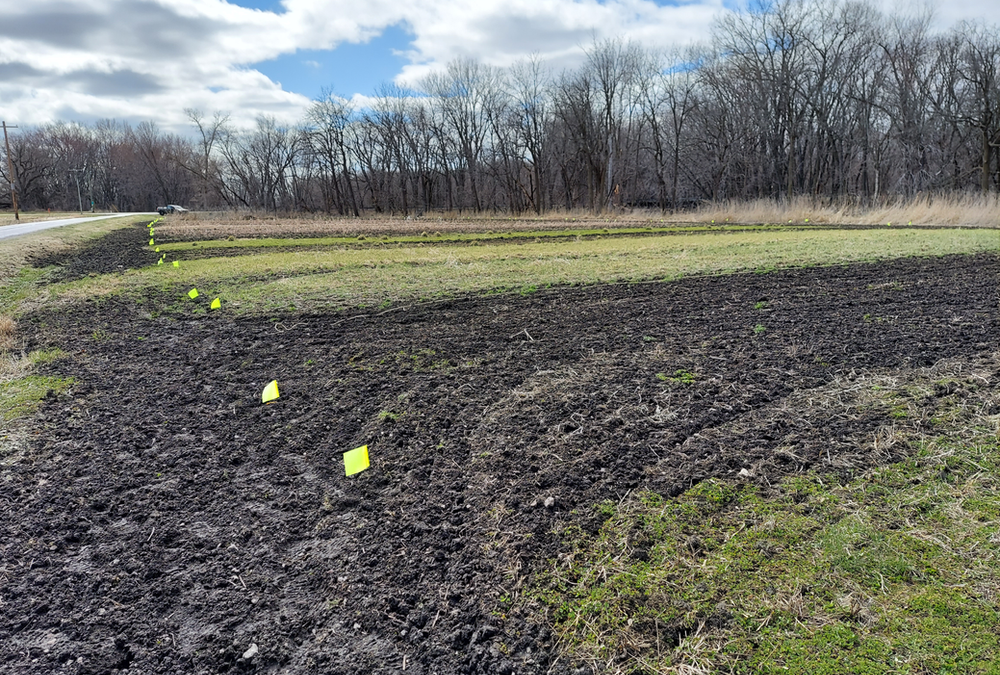 Research is learning what is wrong about a forage