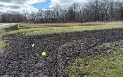 Research is learning what is wrong about a forage