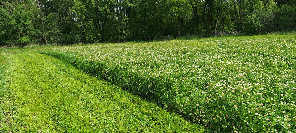 Forage Sampling for Wildlife