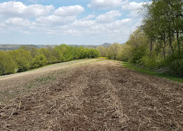 Importance of Soil pH. in Food Plots, A different approach